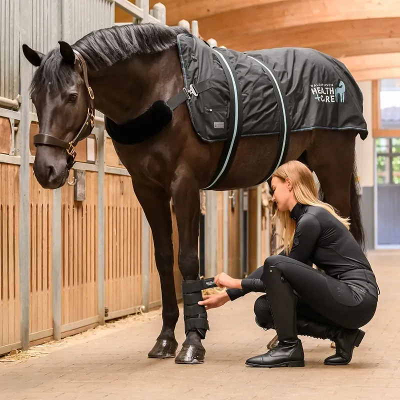 Waldhausen Health + Care TecSupreme Tendon Stable Boot - Black-3