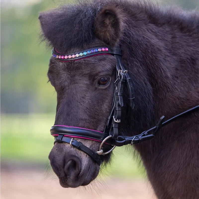 STAR Pinky Flash Bridle with Reins - Black-1