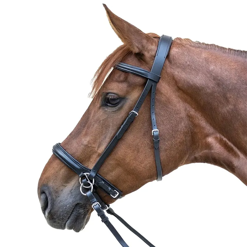 Waldhausen STAR Bitless Bridle with Reins - Black