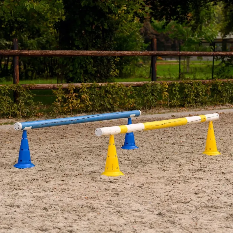 Waldhausen XL Training Cones 8 Pack - Blue/Yellow-3