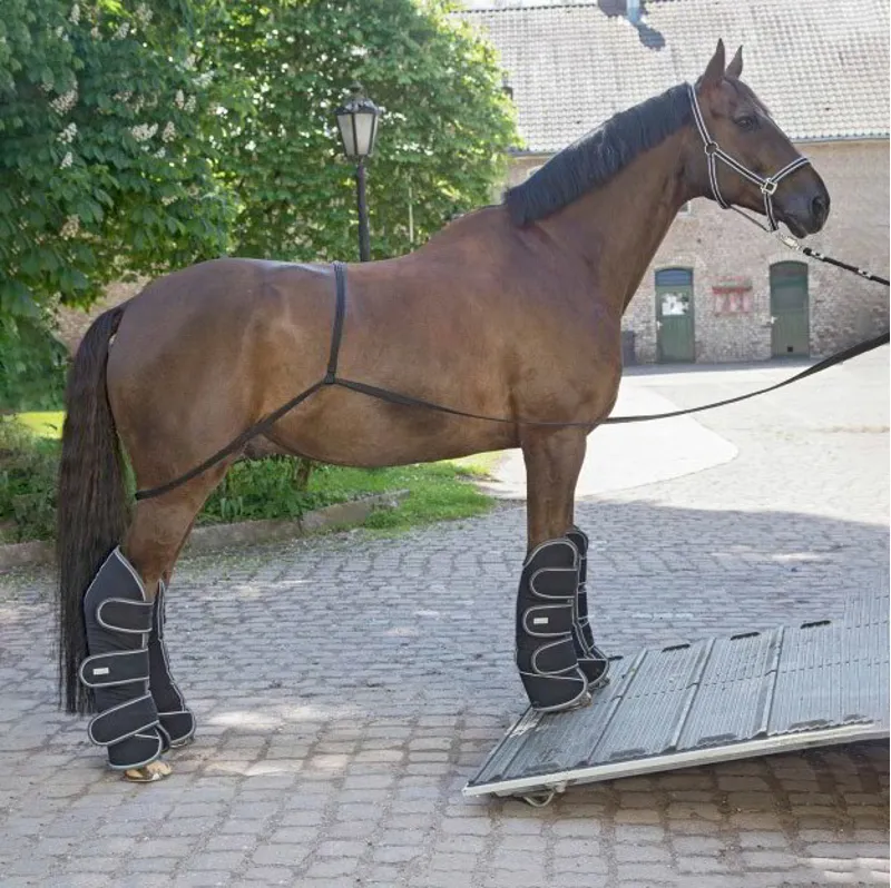 Waldhausen Loading Training Aid System-Black-1