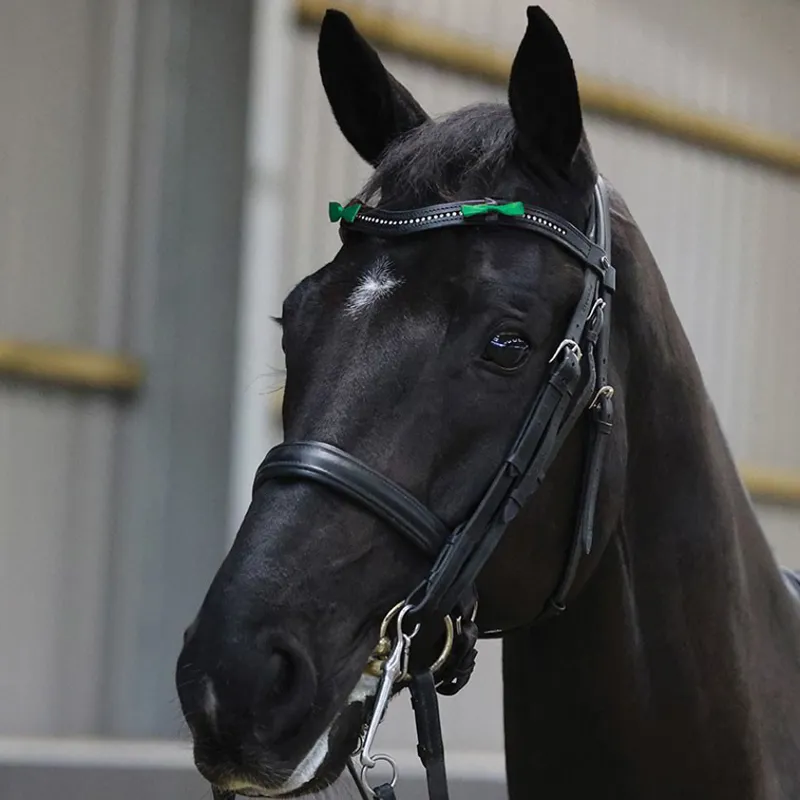 Equetech Horse Warning Competition Bridle Ribbon - Green-2