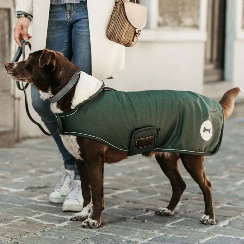 Kentucky Waterproof 300g Dog Coat - Olive-10