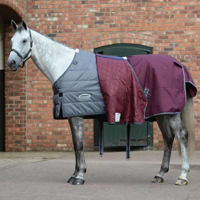 WeatherBeeta Plus Dynamic II 220g High Neck Blanket - Hunter Green-1