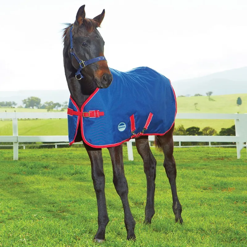 WeatherBeeta Original 1200D 220g Foal Turnout Blanket - Navy/Red/White