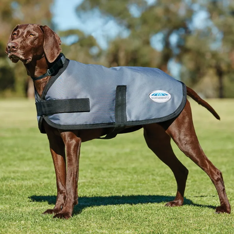 WeatherBeeta ComFiTec Classic Dog Coat - Dark Gray-1
