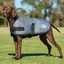 WeatherBeeta ComFiTec Classic Dog Coat - Dark Gray
