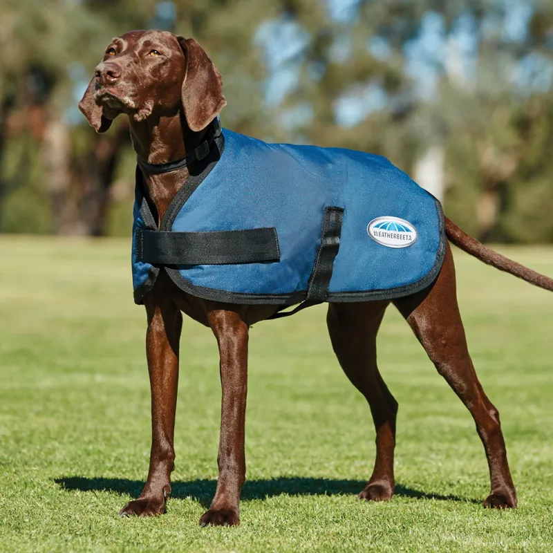 WeatherBeeta ComFiTec Classic Dog Coat - Dark Blue-1