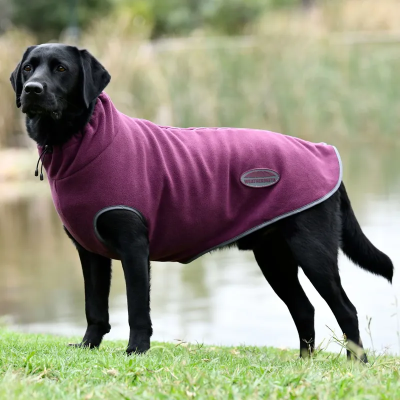 WeatherBeeta ComFiTec Fleece Zip Dog Coat - Maroon/Gray