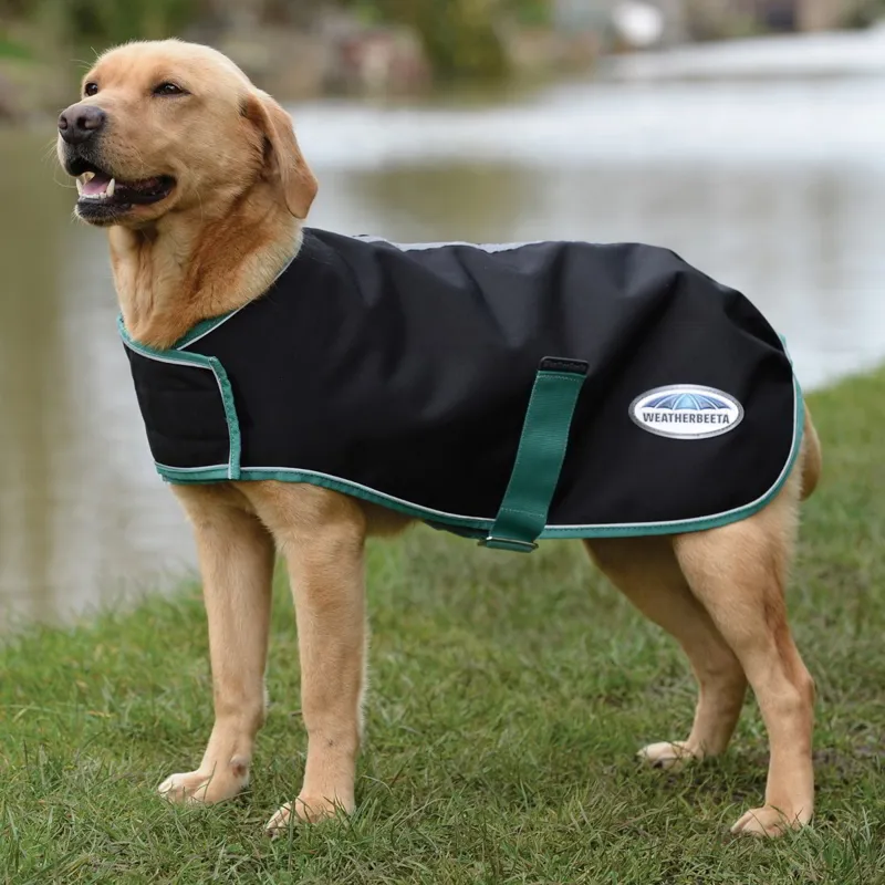 WeatherBeeta Green-Tec 900D 50g Dog Coat - Black/Bottle Green-1
