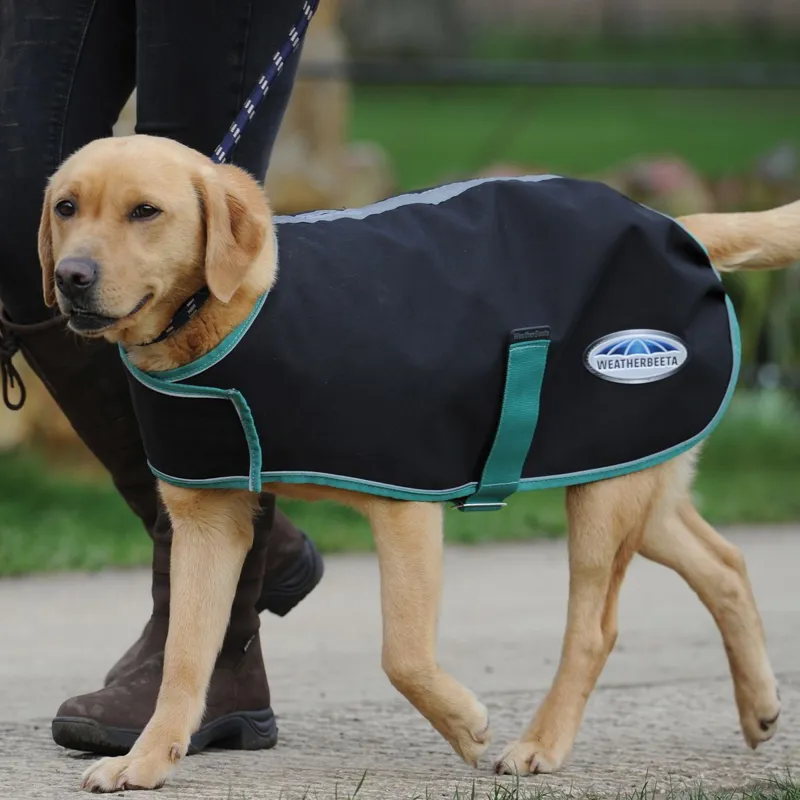 WeatherBeeta Green-Tec 900D 220g Dog Coat - Black/Bottle Green