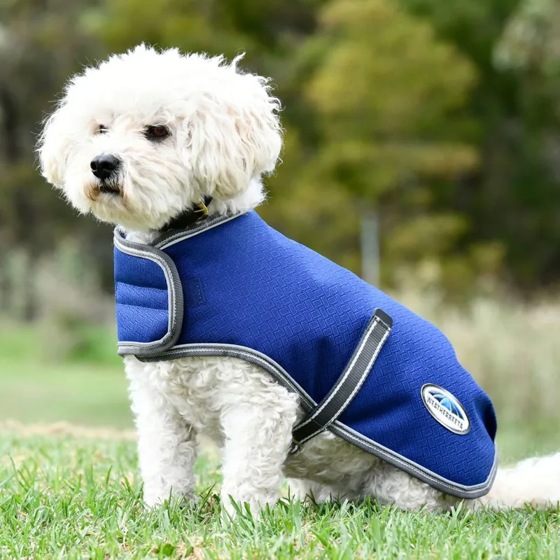 WeatherBeeta ComFiTec Premier Free 220g Parka Dog Coat - Dark Blue