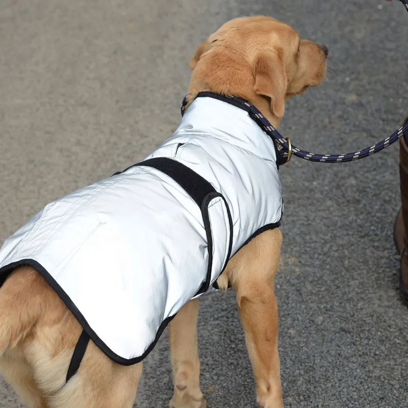 WeatherBeeta ComFiTec Reflective 220g Dog Coat - Silver-2