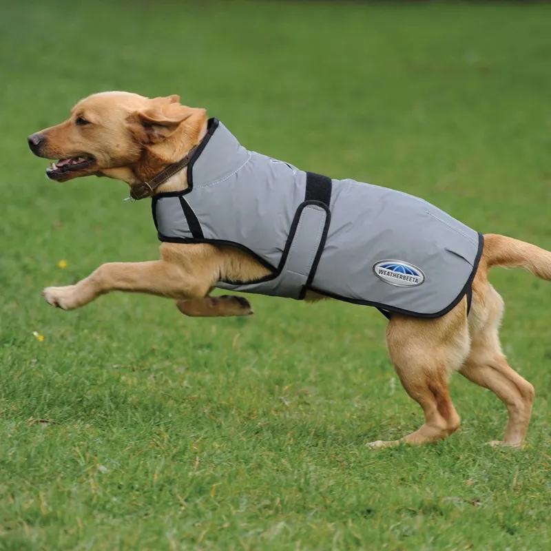 WeatherBeeta ComFiTec Reflective 220g Dog Coat - Silver-3