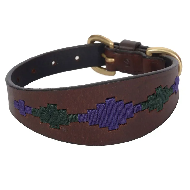 WeatherBeeta Lurcher Polo Dog Collar - Beaufort Brown/Purple/Teal-1