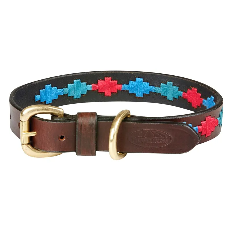 WeatherBeeta Polo Dog Collar - Beaufort Brown/Emerald/Pink/Blue-1