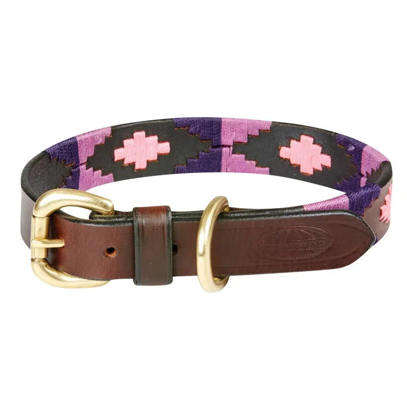 WeatherBeeta Polo Dog Collar - Cowdray Brown/Purple/Purple-1