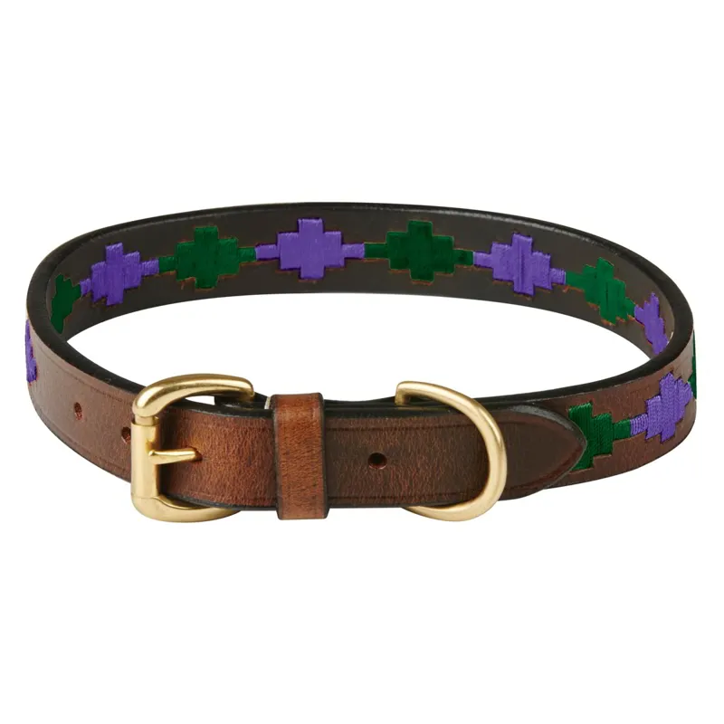 WeatherBeeta Polo Dog Collar - Beaufort Brown/Purple/Teal