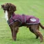 WeatherBeeta ComFiTec Premier Free Parka Deluxe 220g Dog Coat - Maroon