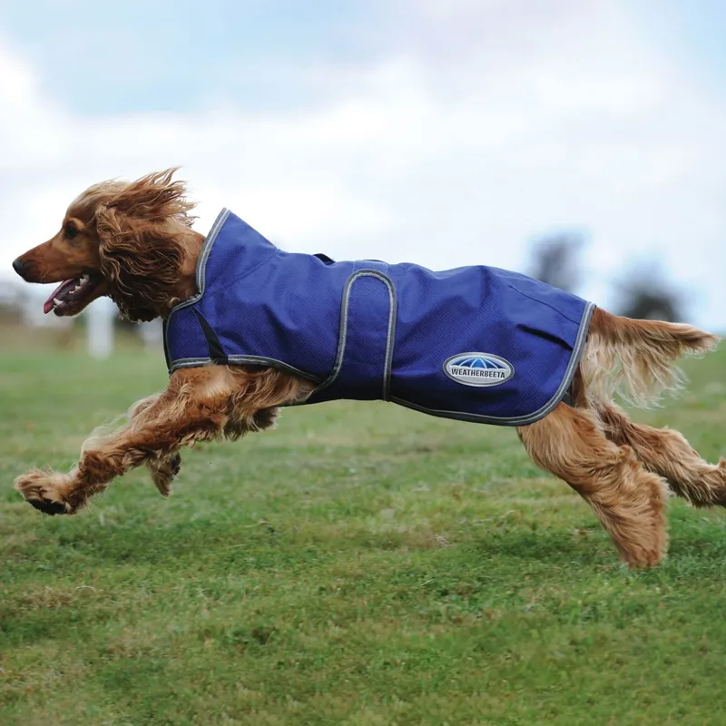 WeatherBeeta ComFiTec Premier Free Duo Deluxe 0g Dog Coat - Dark Blue