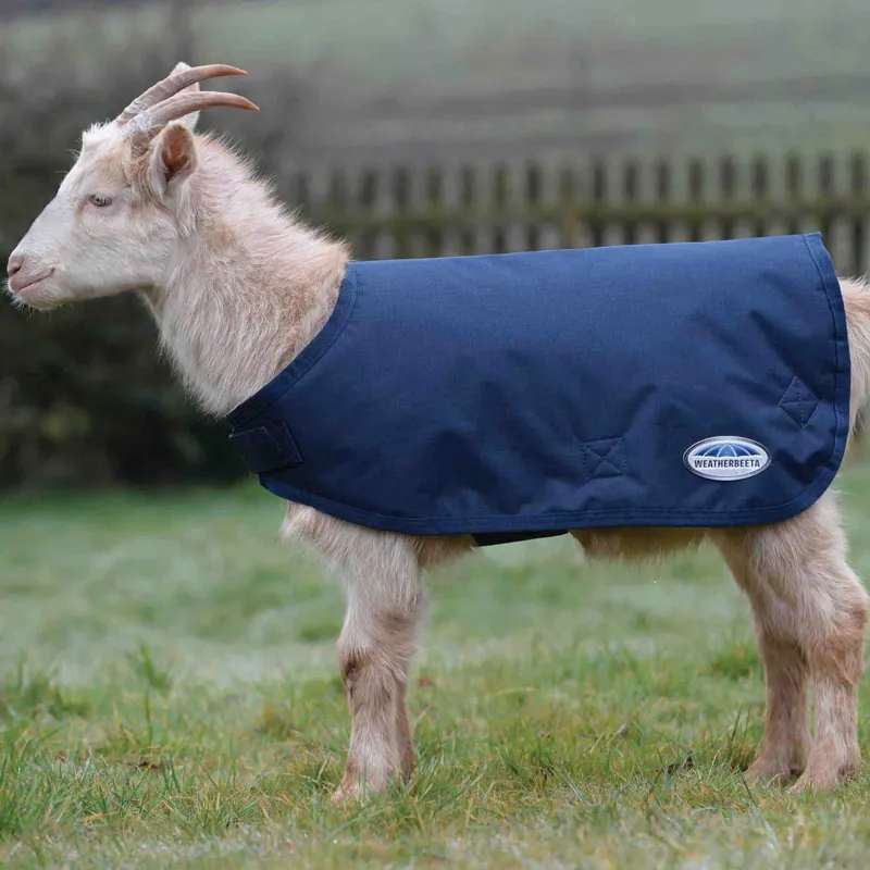 WeatherBeeta 100g Goat Coat - Navy-1