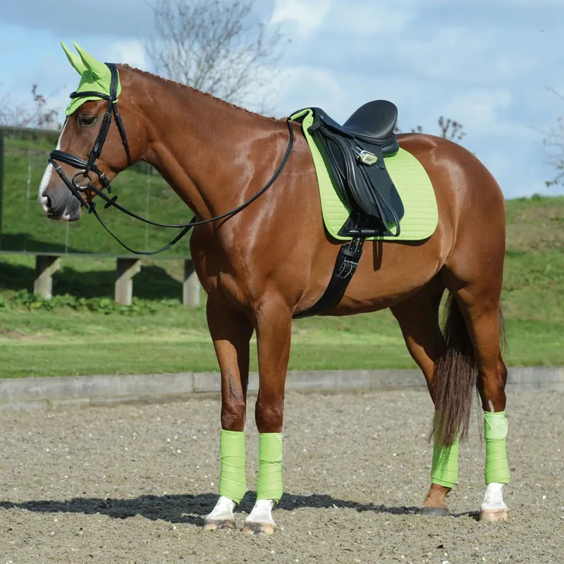 WeatherBeeta Prime Dressage Saddle Pad - Lime-1