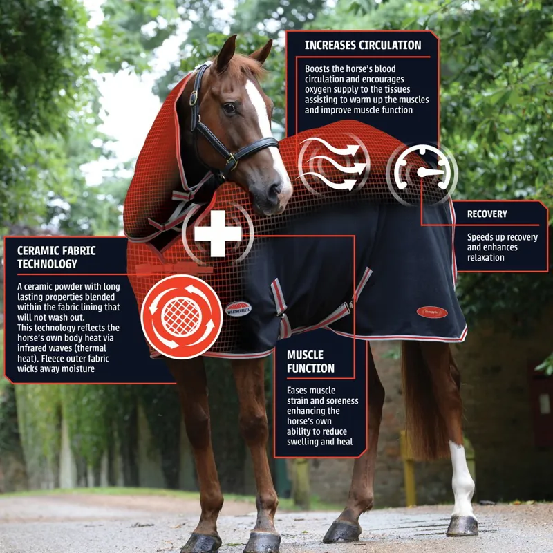 WeatherBeeta Therapy-Tec ComFiTec Premier 220g Turnout Blanket - Black-2