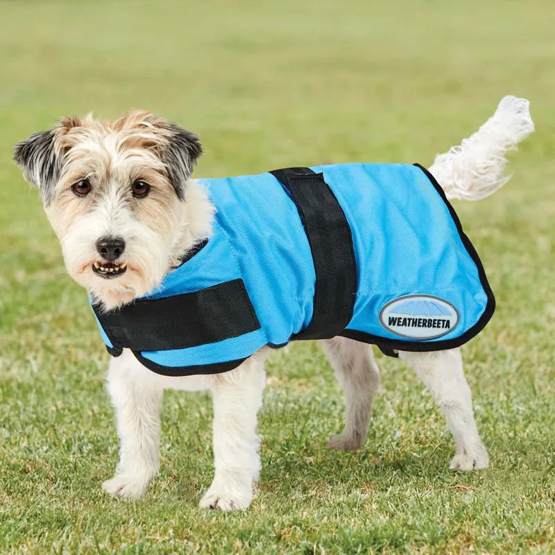 WeatherBeeta Therapy-Tec Cooling Dog Coat - Blue