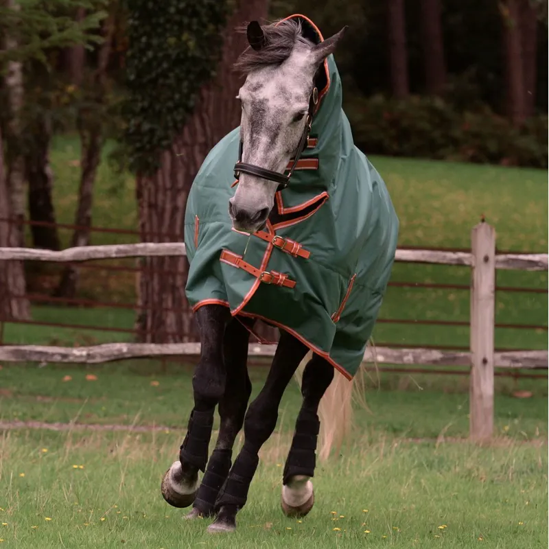 WeatherBeeta ComFiTec Tyro 50g Combo Neck Turnout Blanket - Green-1