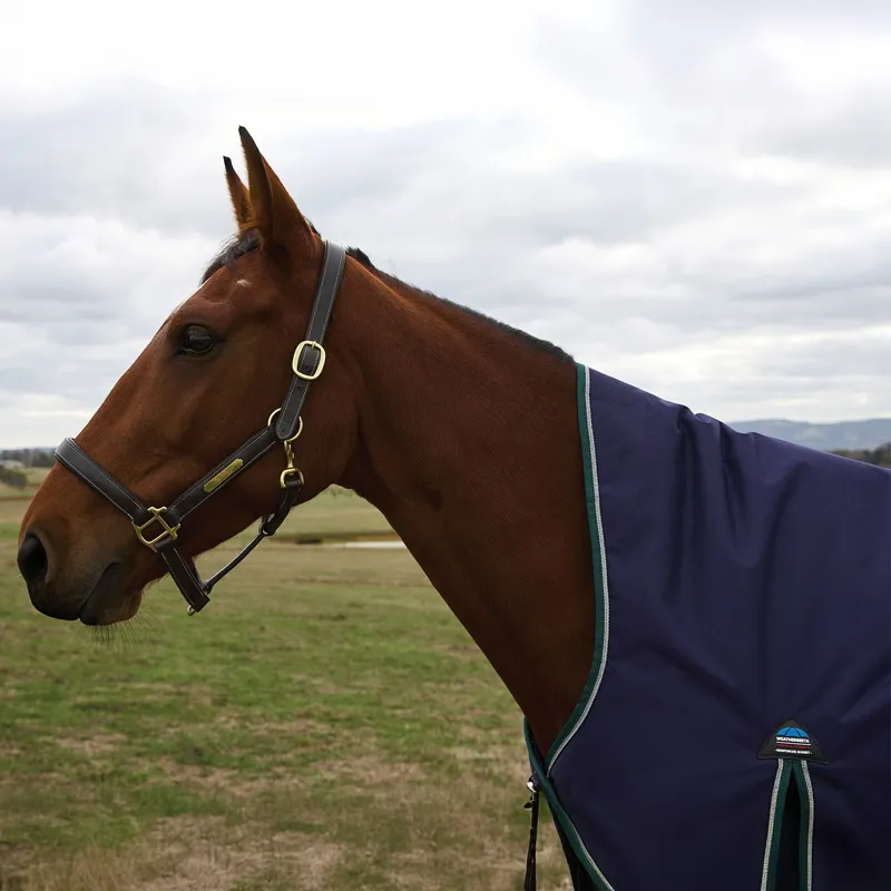 WeatherBeeta ComFiTec Plus Dynamic 100g High Neck Turnout Blanket - Navy-3