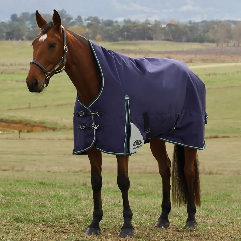 WeatherBeeta ComFiTec Plus Dynamic 100g High Neck Turnout Blanket - Navy