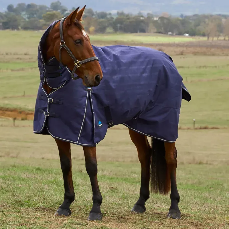 WeatherBeeta ComFiTec Prelim 220g Combo Turnout Blanket - Navy Plaid-8