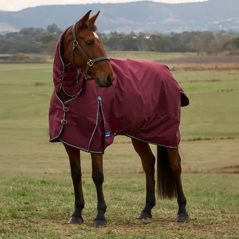 WeatherBeeta ComFiTec Prelim 220g Combo Turnout Blanket Burgundy/Navy