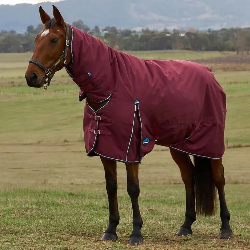 WeatherBeeta ComFiTec Prelim 220g Combo Turnout Blanket Burgundy/Navy-1