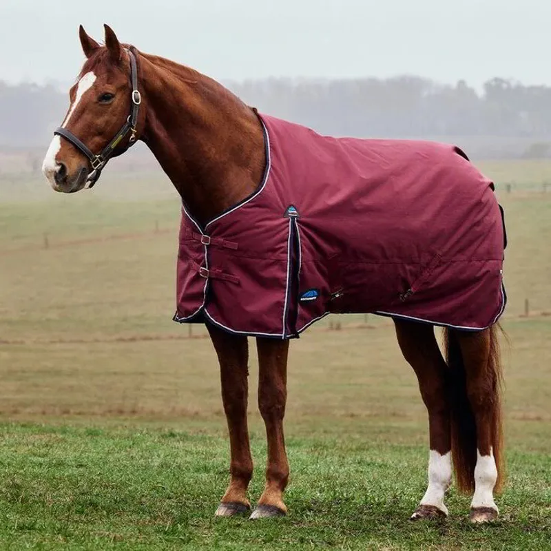 WeatherBeeta ComFiTec Prelim 220g Turnout Blanket - Burgundy/Navy
