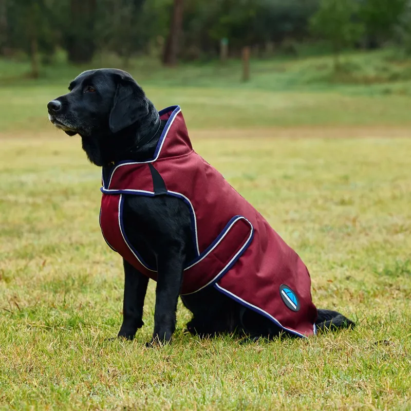 WeatherBeeta ComFiTec Premier Deluxe Waterproof Dog Coat - Burgundy-3