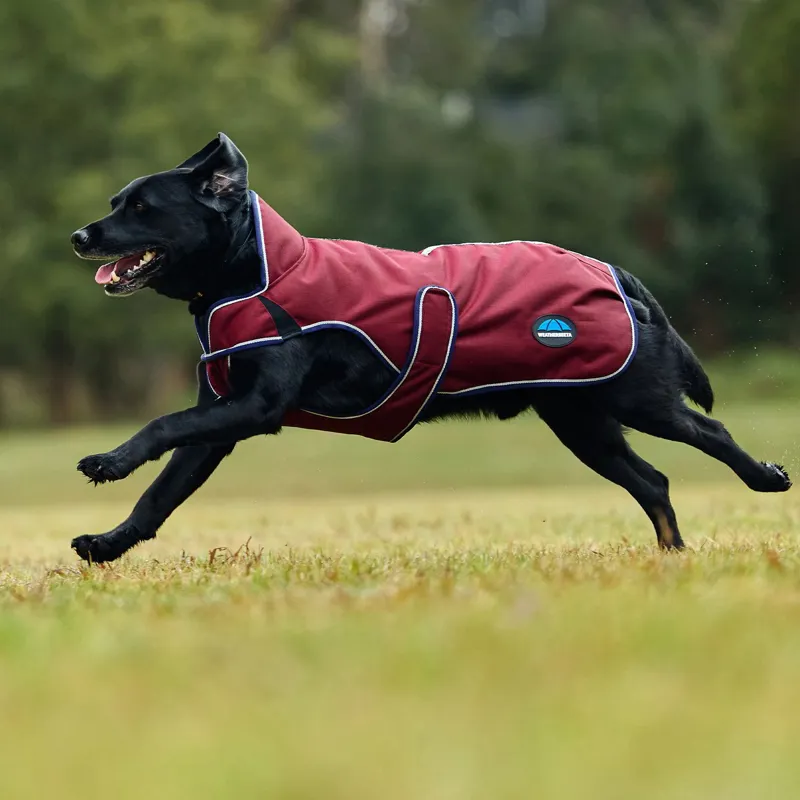 WeatherBeeta ComFiTec Premier Deluxe Waterproof Dog Coat - Burgundy
