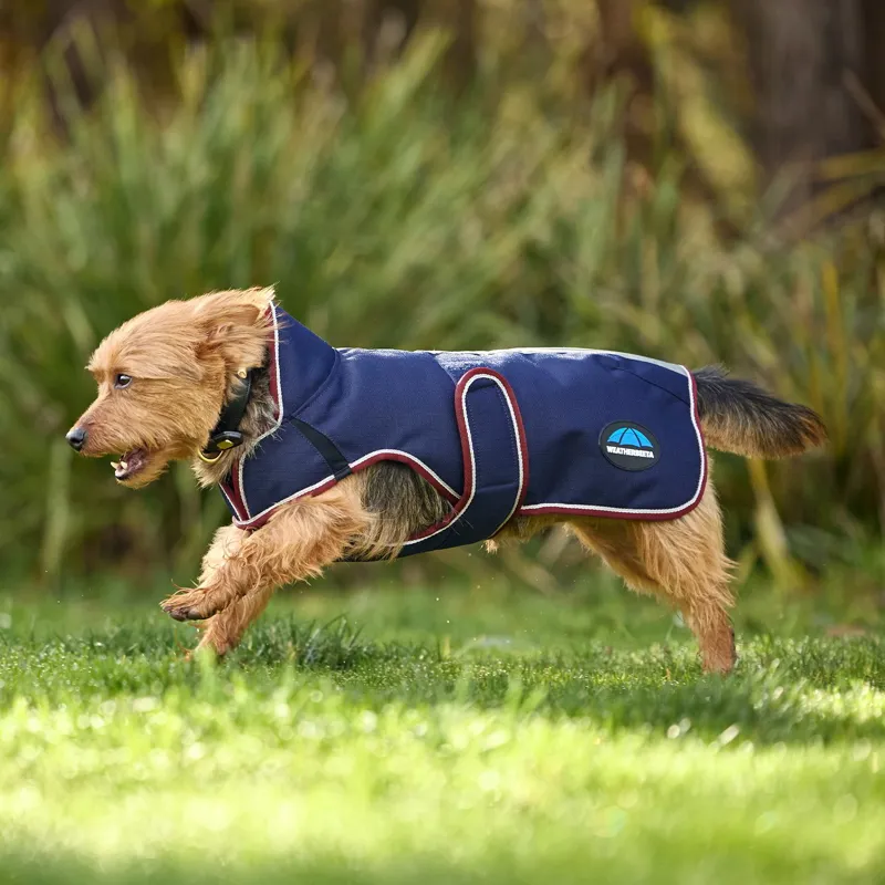 WeatherBeeta ComFiTec Premier Deluxe Waterproof Dog Coat - Navy-3
