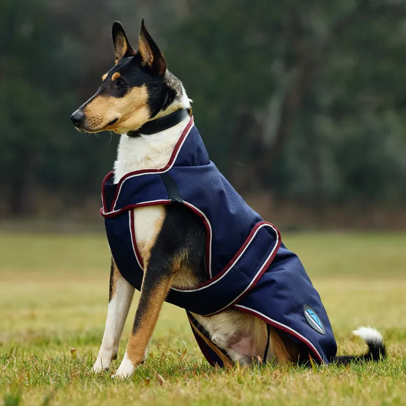 WeatherBeeta ComFiTec Premier Deluxe Waterproof Dog Coat - Navy-2