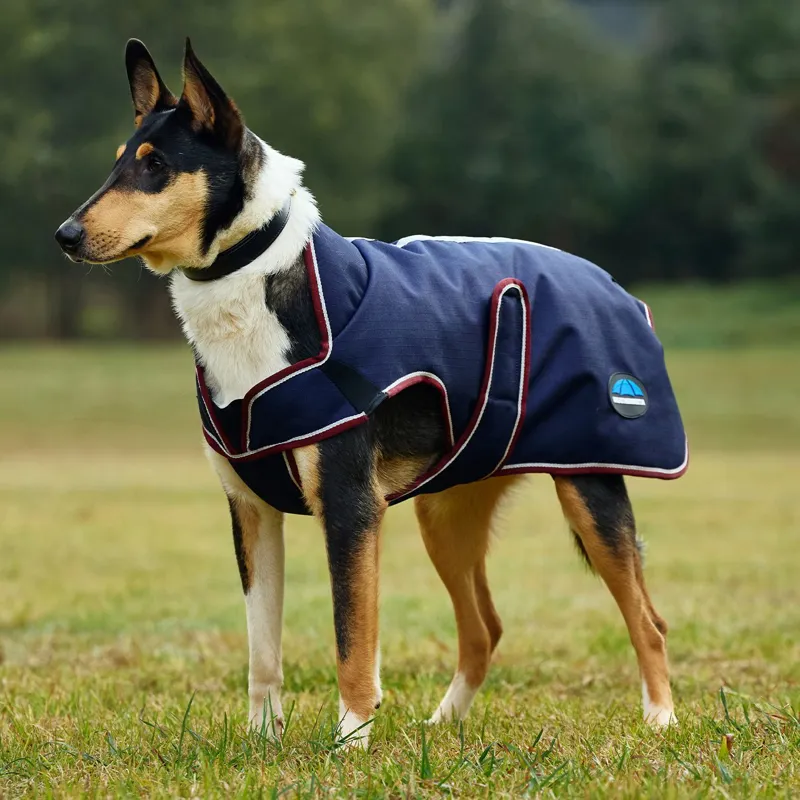WeatherBeeta ComFiTec Premier Deluxe Waterproof Dog Coat - Navy-1