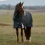 WeatherBeeta ComFiTec Ultra 100g Detach-A-Neck Turnout Blanket - Charcoal