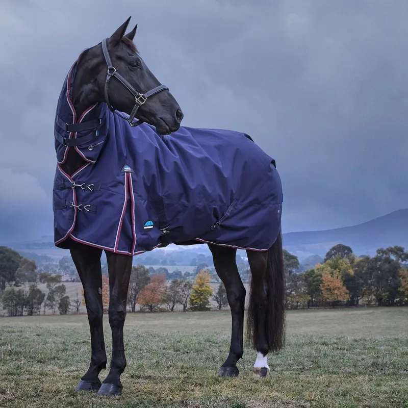 WeatherBeeta ComFiTec Essential 220g Combo Turnout Blanket - Navy-4
