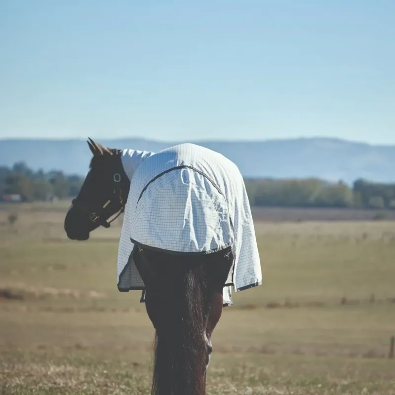WeatherBeeta Hybrid Combo Neck Fly Sheet - White/Charcoal-5