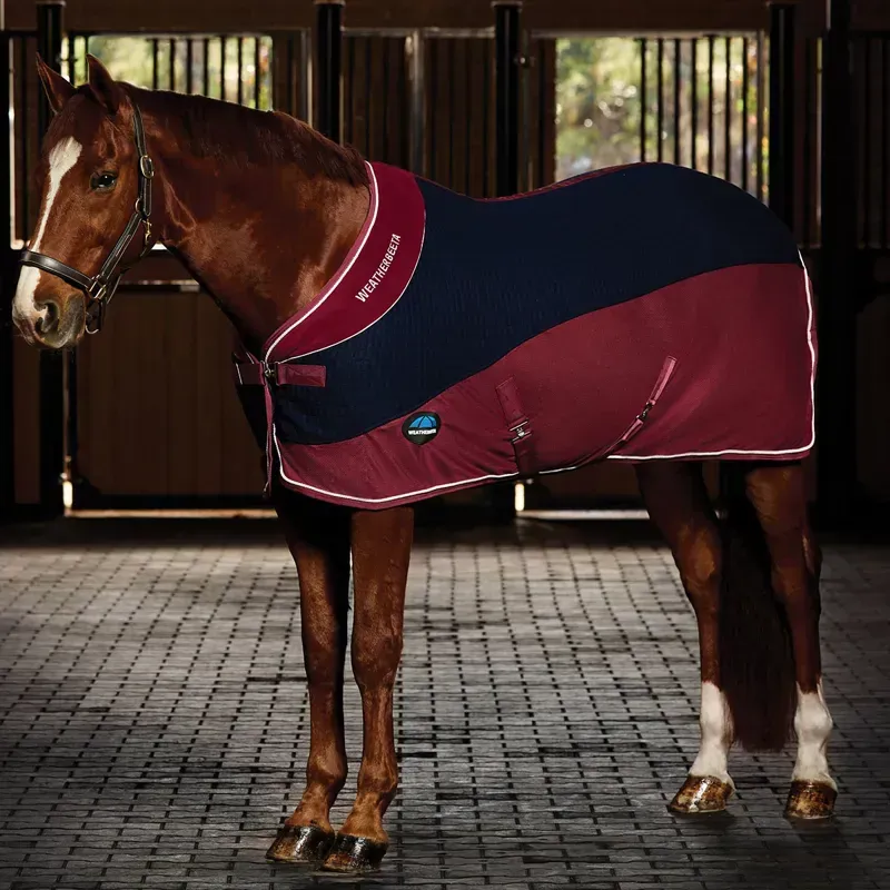 WeatherBeeta Thermo-Air Standard Neck Cooler - Navy/Burgundy