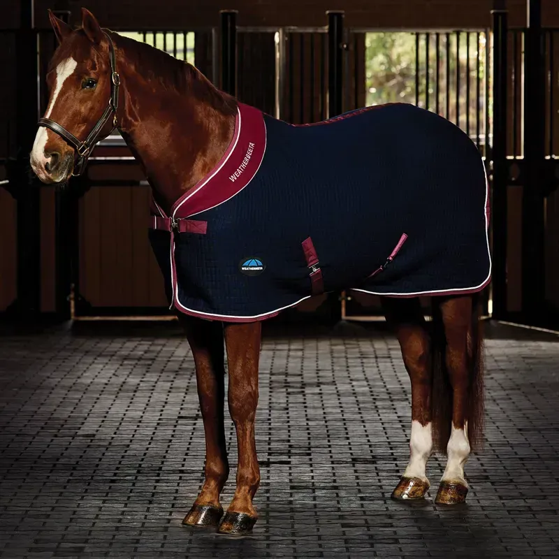 WeatherBeeta Thermocell Standard Neck Cooler - Navy/Burgundy