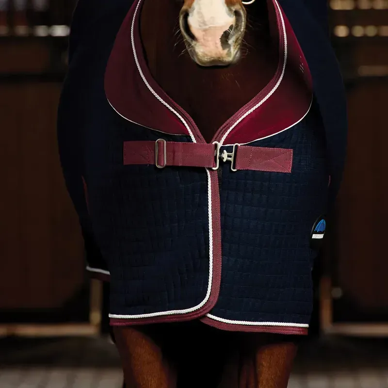 WeatherBeeta Thermocell Standard Neck Cooler - Navy/Burgundy-2