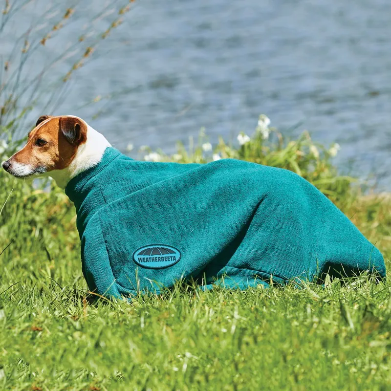 WeatherBeeta ComFiTec Dry Dog Bag - Hunter Green-1