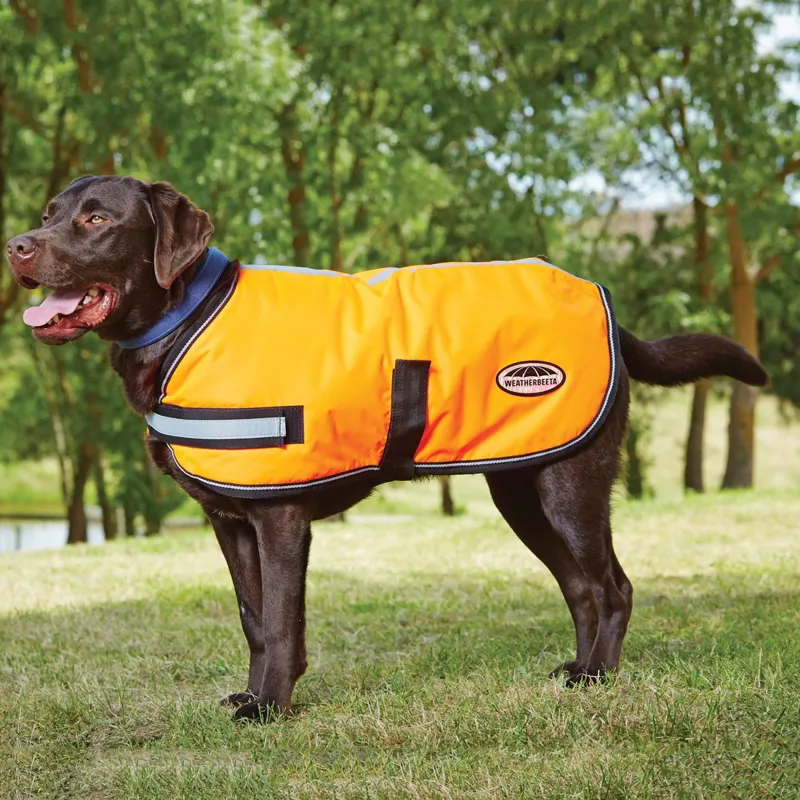WeatherBeeta Parka Dog Coat - Fluorescent Orange-1