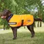 WeatherBeeta Parka Dog Coat - Fluorescent Orange