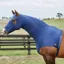WeatherBeeta Lycra Stretch Hood With Zipper - Navy
